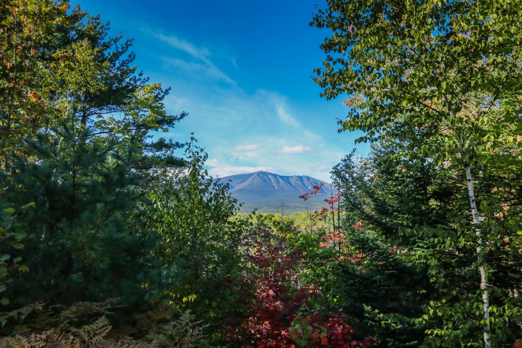 Reflecting on 2025: Collaboration for Healthy Forests and Clean&nbsp;Water